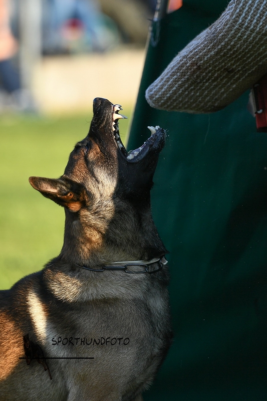 Impressionen 415.jpg